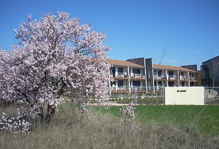 Llega la primavera al Centro Social para Mayores.
