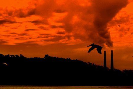 - Junto a una reserva natural, una planta energética emite malos humos en EEUU Foto. Dawn Ellner