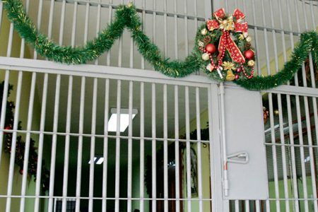 En Navidad los presos hacen presente la humanidad y la debilidad de un Dios tierno y jovial. Foto. Reuters