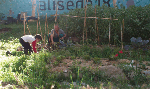 Aliseda 18, un huerto urbano en carabanchel