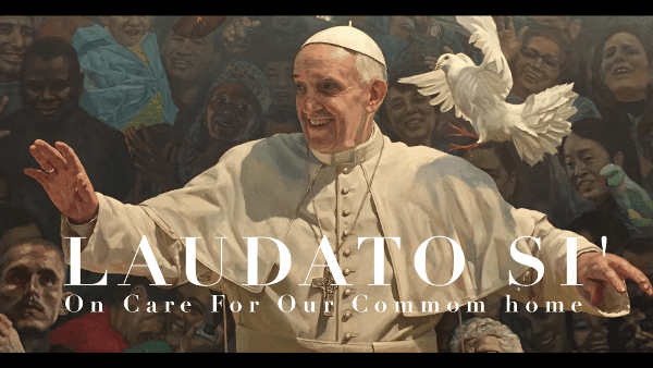 La encíclica laudato, sobre el cuidado de la causa común