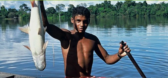 Los indígenas defendiendo su tierra