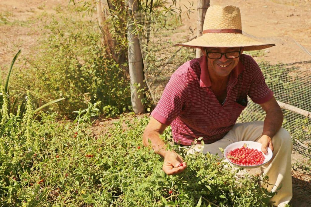 La agroecología quiere dar respuesta al sistema alimentario roto